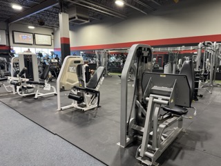 Pin Loaded Strength 3